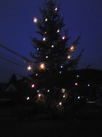 012 Vánoční strom 2009